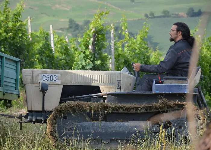 Casa Piantone Отель типа 